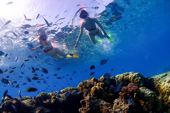 3 Semporna Islands Tour with Snorkel or Diving Experience - Who Should Consider This Tour?