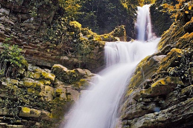 Surrealist Garden of Edward James, Castle of Health and Xilitla Nativity - The Castle of Health: Culture and Herbalism