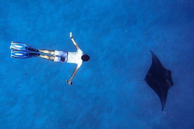 Snorkeling with Manta Rays from Maafushi - What to Expect from the Tour