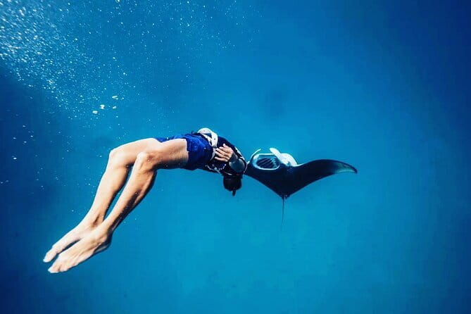 Snorkeling with Manta Rays from Maafushi - The Snorkeling Spot