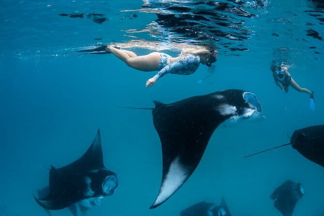 Snorkeling with Manta Rays from Maafushi - Good To Know