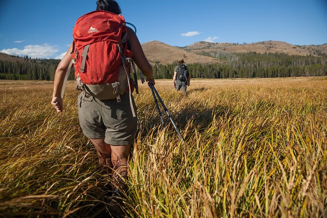 Yellowstone Full Day Private Hike - A Deep Dive into the Yellowstone Full Day Private Hike