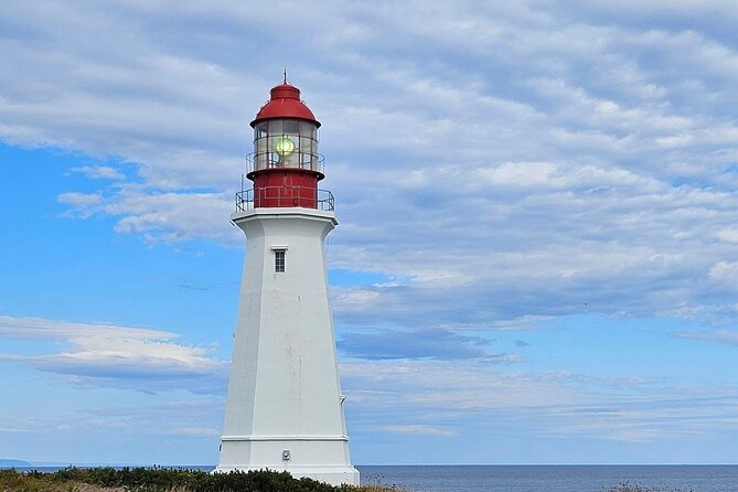 Sydney City & Coastline Tour - Detailed Breakdown of the Itinerary