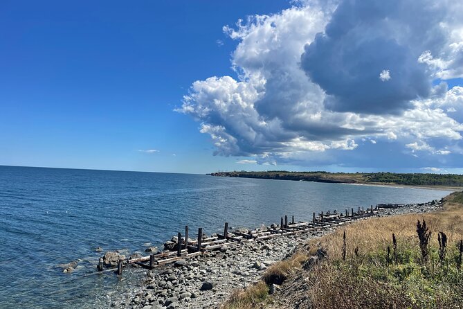 Sydney City & Coastline Tour - Final Thoughts