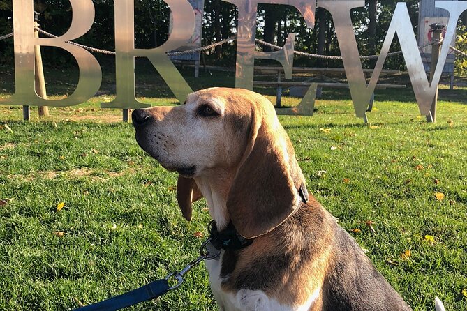 Private:Brewery, Winery, and Cider & Spirit Tastings Tour in SW Ontario - FAQs