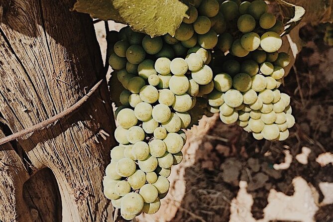 Private Wine Tour for 1-5 People in Oregon - Is this tour right for you?