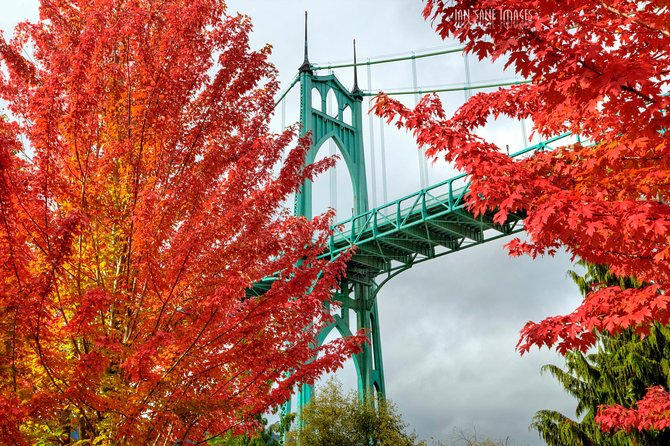 'The Best of Portland' City Tour: Small-Group Sightseeing Tour - Good To Know