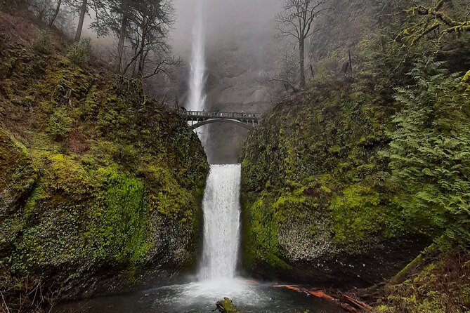 Portland City & Columbia Gorge Waterfalls: Our two best tours! - Who Is This Tour Best For?