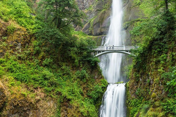 Multnomah Falls & Columbia Gorge Scenic Flight by Envi Adventures - Key Points