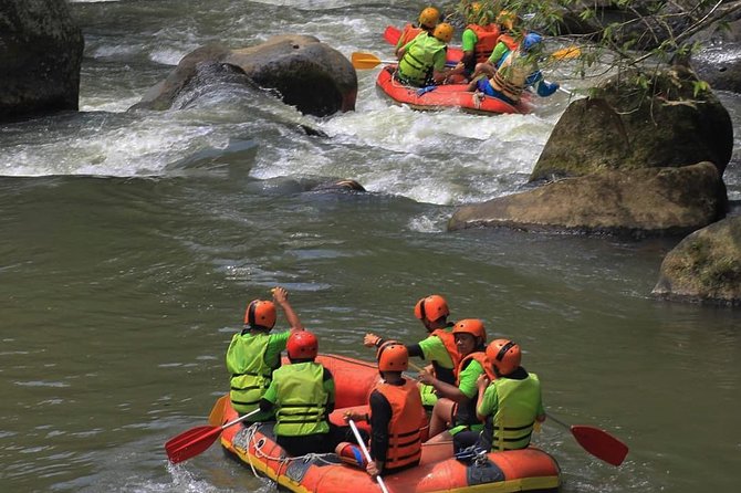 Nimanga River Rafting Experience in Manado North Sulawesi - Who Would Love This Tour?