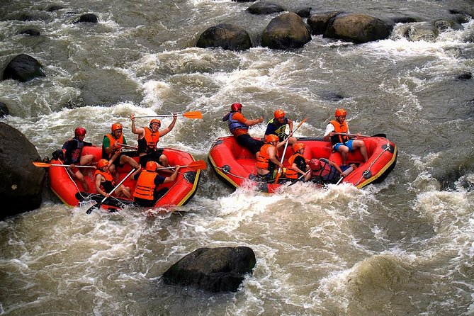 Nimanga River Rafting Experience in Manado North Sulawesi - Key Points