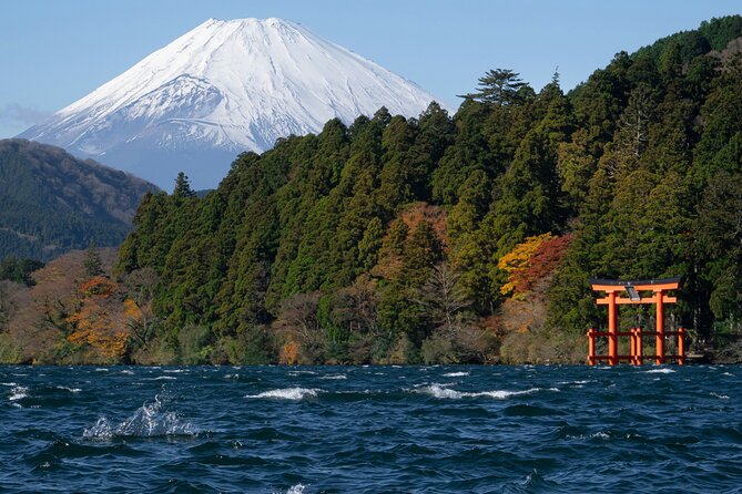 Shore Excursion Private Mt Fuji and Hakone Tour from Shimizu Port - Final Thoughts