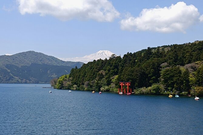 Shore Excursion Private Mt Fuji and Hakone Tour from Shimizu Port - FAQ