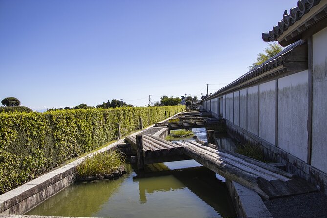 Private Car Tour from Shimizu Port to Visit Kakegawa Tea Culture - In-Depth Review of the Tour Experience