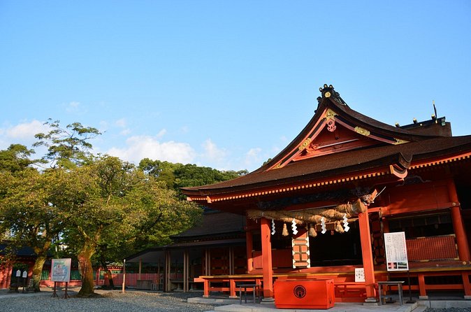 Mt. Fuji Sake and Tea Fields Tour by Private Car - Who Is This Tour Best For?