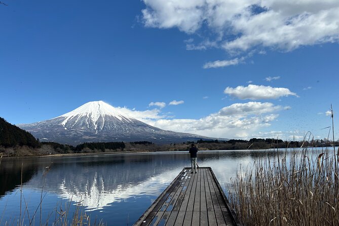 Shimizu Port Private Car Tour Mt. Fuji & Local Highlights - Experience the Beauty and Culture of Mt. Fuji on a Private Shimizu Port Tour
