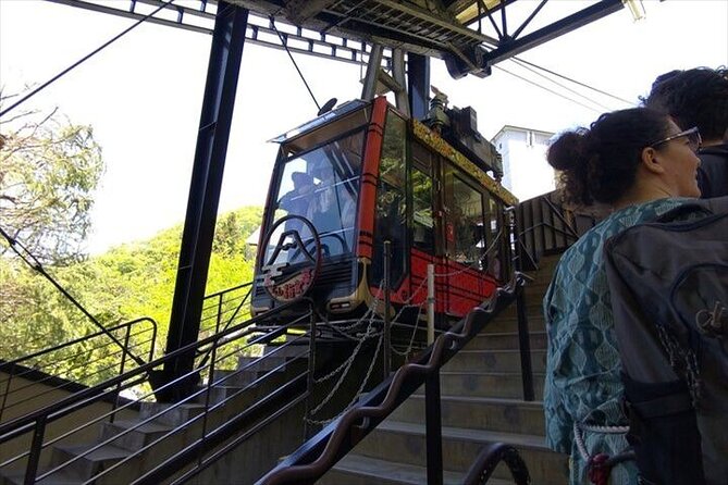 Chureito Pagoda-Arakurayama and Lake Kawaguchi Guided Tour-Van - Who Will Love This Tour?