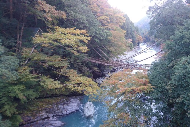 Iya Valley BROMPTON Slow Cycling Tour - Who Should Consider This Tour?