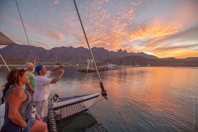 Sunset Appetizers & Open Bar Catamaran Cruise - Who Will Love This Tour?