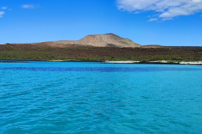 Coronado Island Visit and Sea Lions Swimming - Relaxing Beach Time and Delicious Ceviche