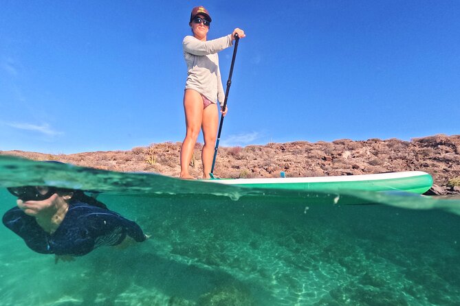 Coronado Island Visit and Sea Lions Swimming - FAQ