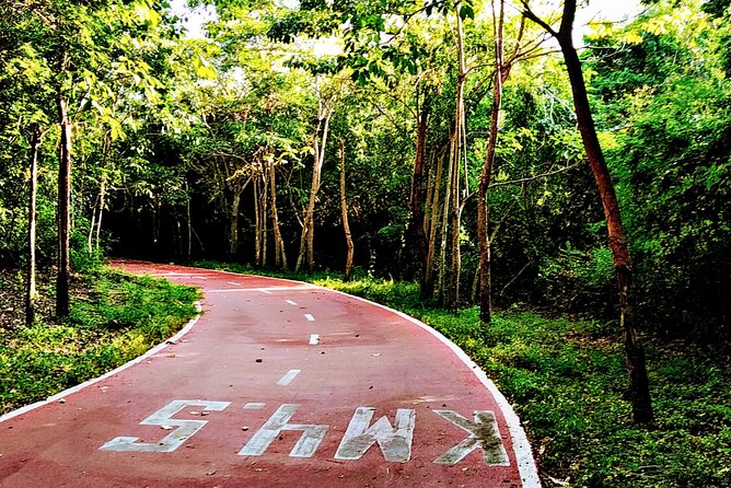 Ixtapa bike tour - Who Will Love This Tour?