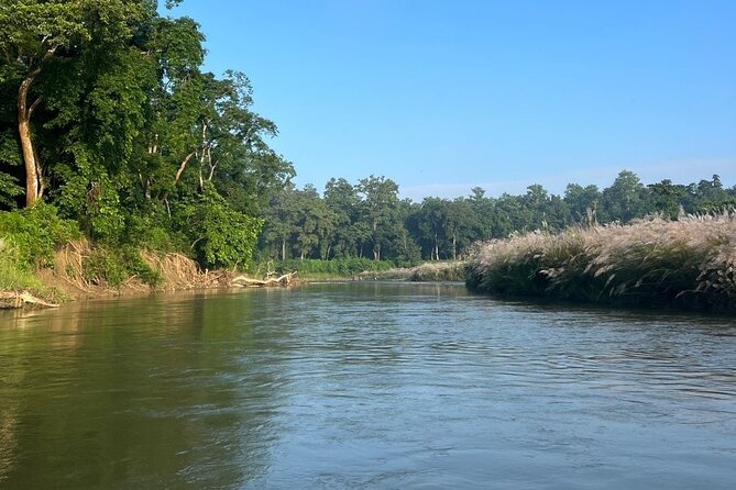 2Night 3Day Chitwan Jungle Tower Night Stay and CNP Nepal Safari - Authentic Reviewer Insights