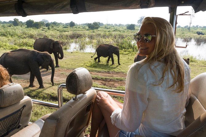 Private Tour: Udawalawe National Park Safari - Meal Options and Pricing