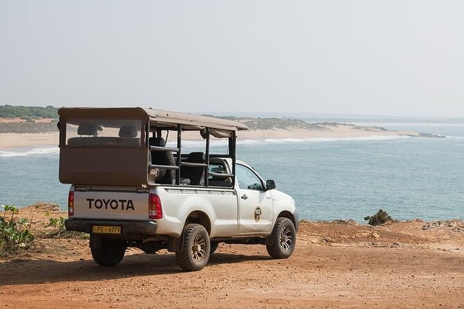 Private Tour: Udawalawe National Park Safari - What the Tour Includes and What You Should Expect