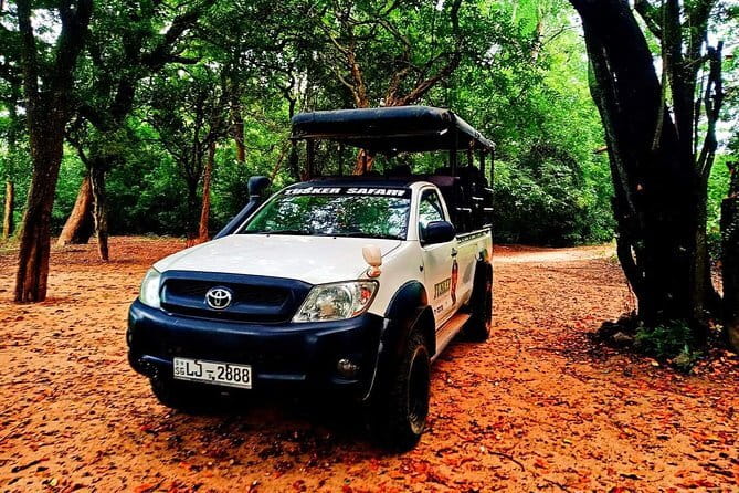 Everything in Udawalawe (Safari, Accommodation with Half Board) - The Experience: What Travelers Say