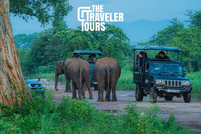 Safari Jeep Tour In Udawalawa Park Sri Lanka - Experience and Highlights in Detail