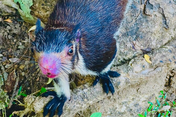 Udawalawa Wild Life Safari - Duration and Cost Analysis