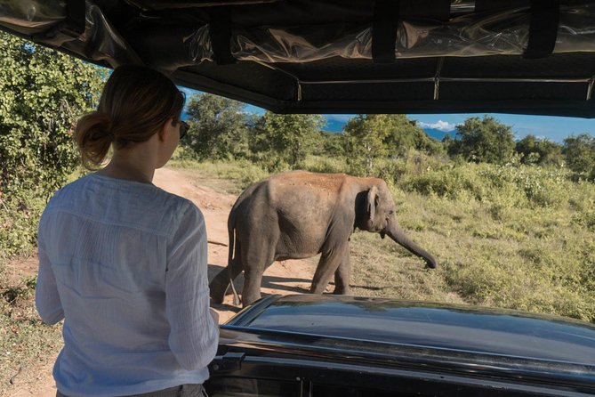 Udawalawe National Park Morning or Afternoon Game Drive - FAQs