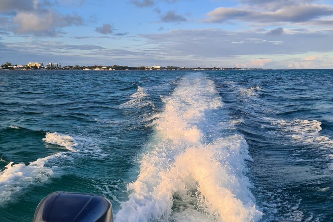 Snorkel HolChan Shark Ray Alley and Caye Caulker Manatee Spotting - Who Should Consider This Tour?