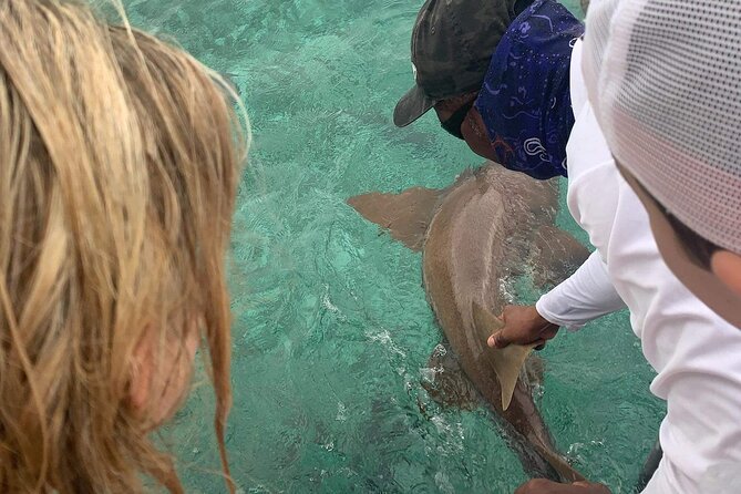Snorkel HolChan Shark Ray Alley and Caye Caulker Manatee Spotting - FAQ