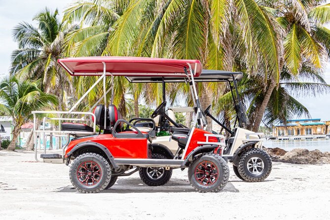 Golf Cart Rental Belize Ambergris Caye - Who Will Benefit Most from This Experience?