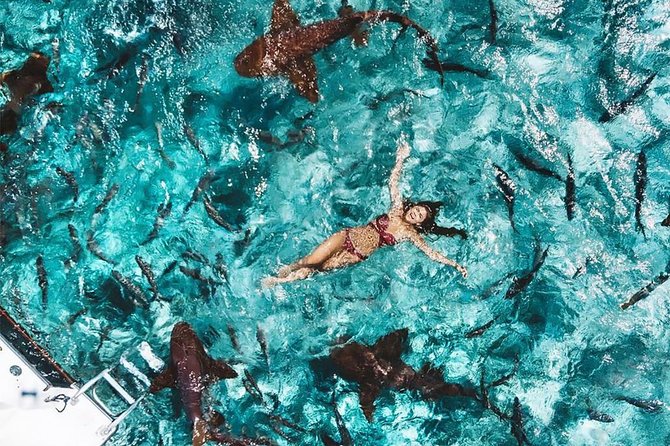 Belize Hol Chan Marine Reserve & Shark Ray Alley Snorkel Tour - Ambergris Caye - FAQ