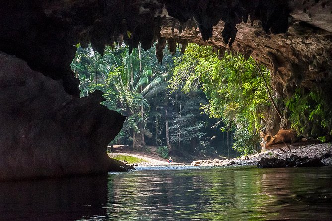 Altun Ha Cave Tubing and Zip line Tours from San Pedro Ambergris Caye - Discover Belize’s Hidden Thrills: Altun Ha, Ziplining, and Cave Tubing from San Pedro