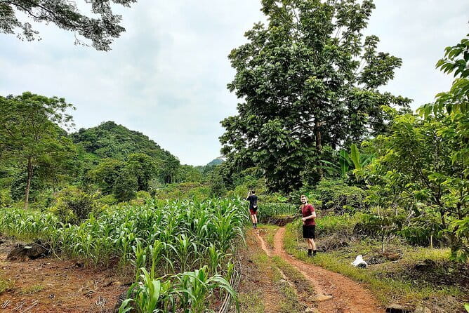 1 Day Ha Giang Loop Tour by Motorbike with Easy Rider - Who Should Consider This Tour?