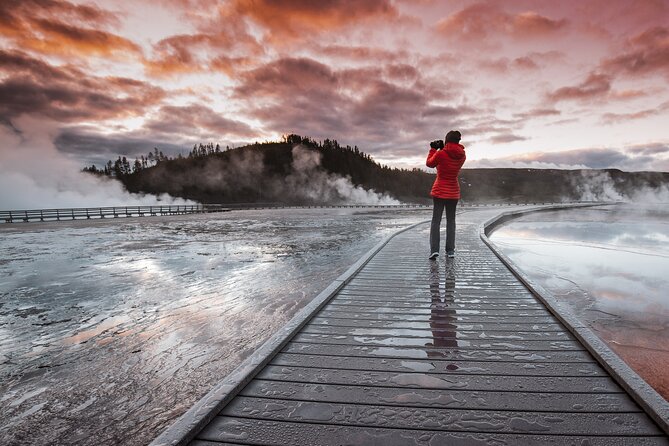 Predators of the Wild, Bear and Wolf Watching Adventure - Discovering the Heart of Yellowstone’s Wildlife