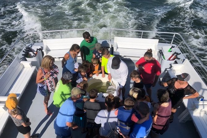 Big Fun Dolphin Cruise & Sealife Experiece ORANGE BEACH ALABAMA - Who Will Love This Tour?