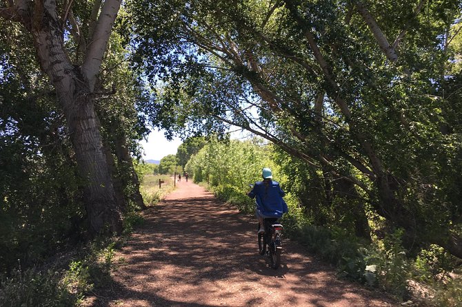 2 Hour E bike Ride at The Peavine Trail (Popular) - The Bikes and Equipment