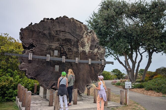 Fort Bragg California Scavenger Hunt Walking Activity and Game - Final Thoughts: Is This Tour Right for You?