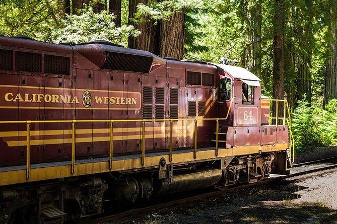 Skunk Train: Wolf Tree Turn from Willits - Experience the Magic of the Wolf Tree Turn on the Skunk Train from Willits