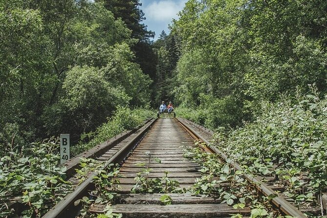 Redwoods Railbike Along Pudding Creek - Who Will Love This Tour?