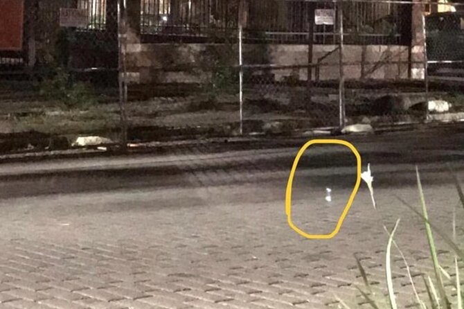 Helen Haunts, Murder, Mystery Tour With Paranormal Investigation - Final Thoughts: Who Would Love This Tour?