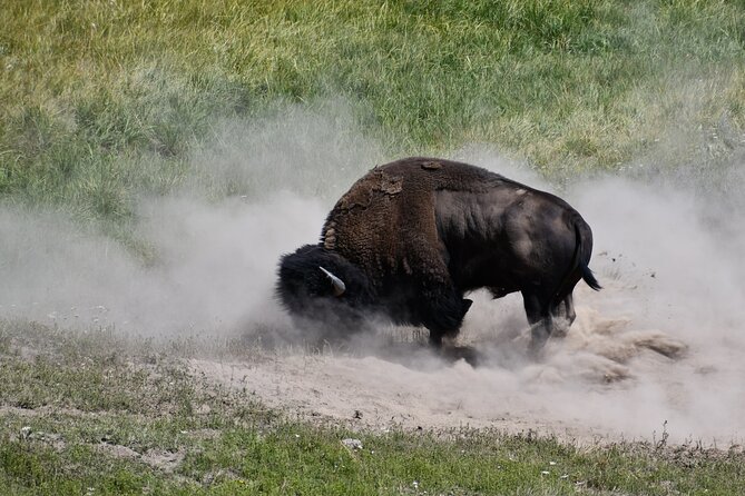 Private Full Day Tour of Yellowstone's Natural Wonders - Pricing and Value  