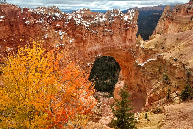 Scenic Tour of Bryce Canyon - Who Should Consider This Tour?