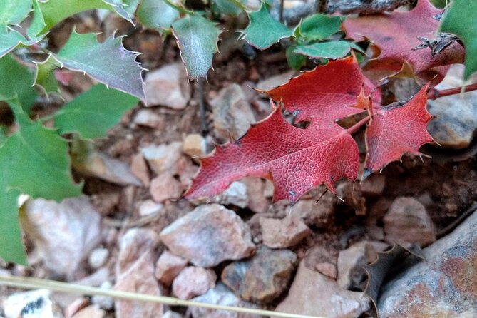 Scenic Tour of Bryce Canyon - The Itinerary In Detail