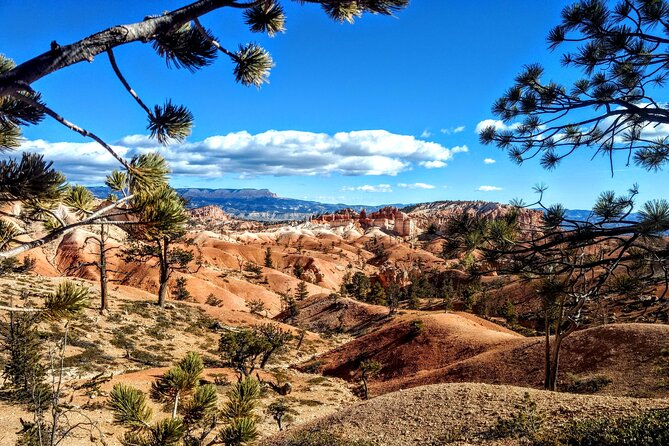 Scenic Tour of Bryce Canyon - Scenic Tour of Bryce Canyon: An Insider’s Look